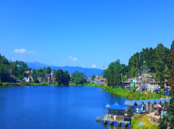 darjeelings-magic-from-sunrise-bliss-to-miriks-tranquility