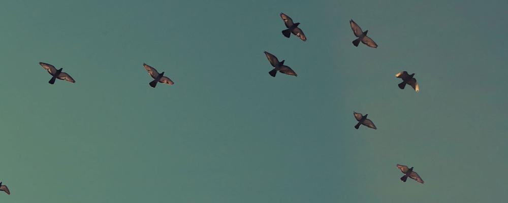 transportation-to-world-wide